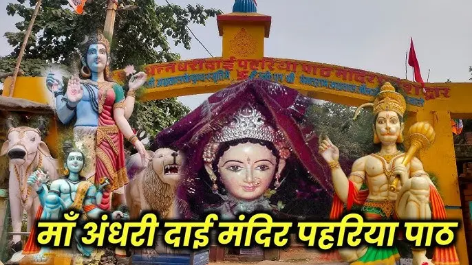 प्रकृति की रक्षक मां अन्नधरी दाई: जहां एक टहनी भी ले जाना मना, पढ़ें पहाड़ पर हरियाली का अनूठा रहस्य