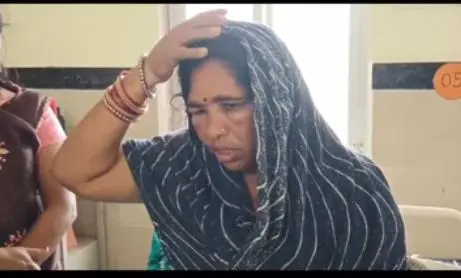  खेत गई महिलाओं पर मधुमक्खियों का हमला, दो की मौत, अपनी जान देकर पिता ने पुत्र को बचाया 
