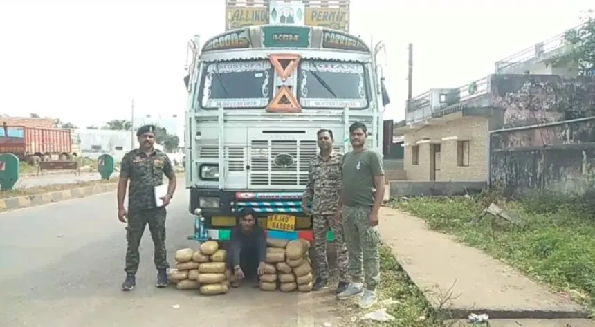   CG NEWS : ट्रक से 53 किलो गांजा तस्करी करते 1 अंतर्राज्यीय तस्कर गिरफ्तार, 28 लाख 10 हजार का माल जब्त
