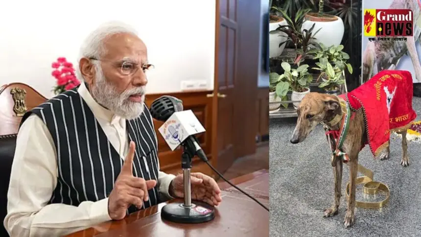 Mann Ki Baat : एकतादिवस परेड में प्रदर्शित होगा बीएसएफ के स्वदेशी श्वान दस्ता (K9s), मन की बात में बोले पीएम मोदी   