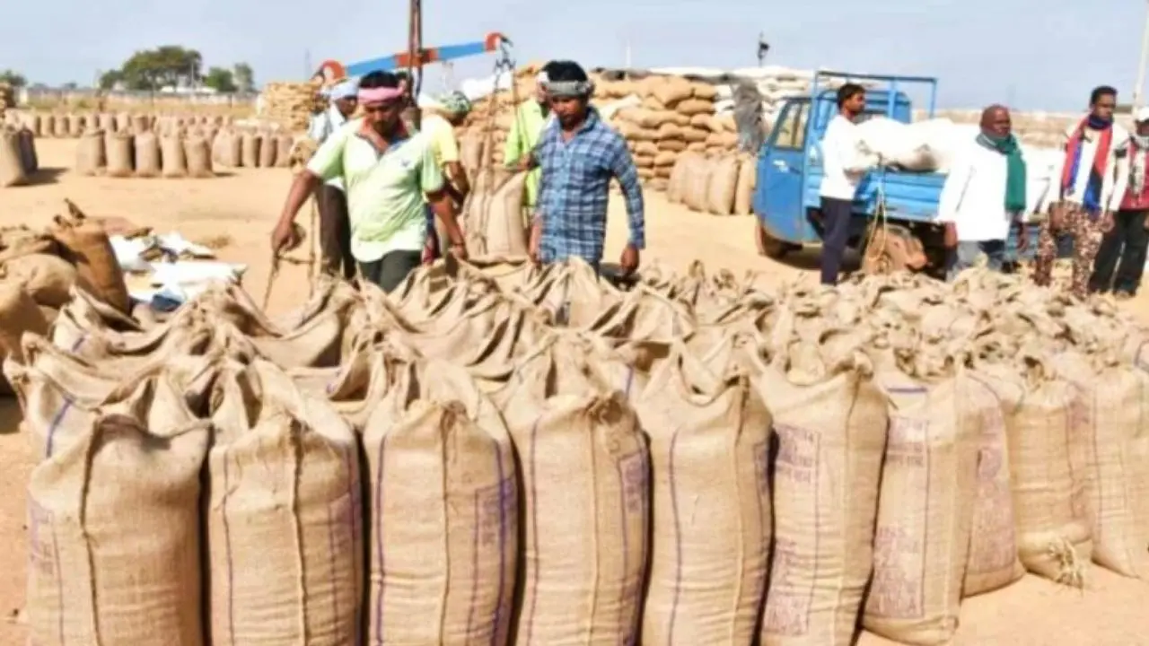 CG Dhan Kharidi : राज्य में 14,54,451 क्विंटल धान की हो चुकी है खरीदी, टोकन तुंहर एप्प से किसानों को हो रही है आसानी 