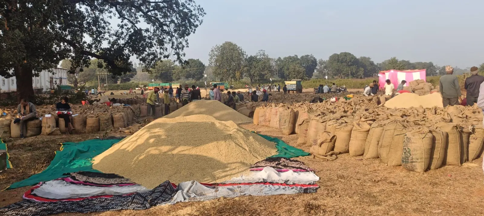 धान स्लॉट बुकिंग में फंसे किसान, रात-रात भर जागने के बाद भी नहीं हो रहा रजिस्ट्रेशन