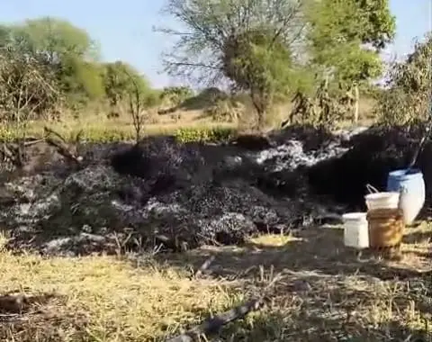 CG NEWS : पैरा के ढेर में जलता हुआ शव मिलने से मची सनसनी