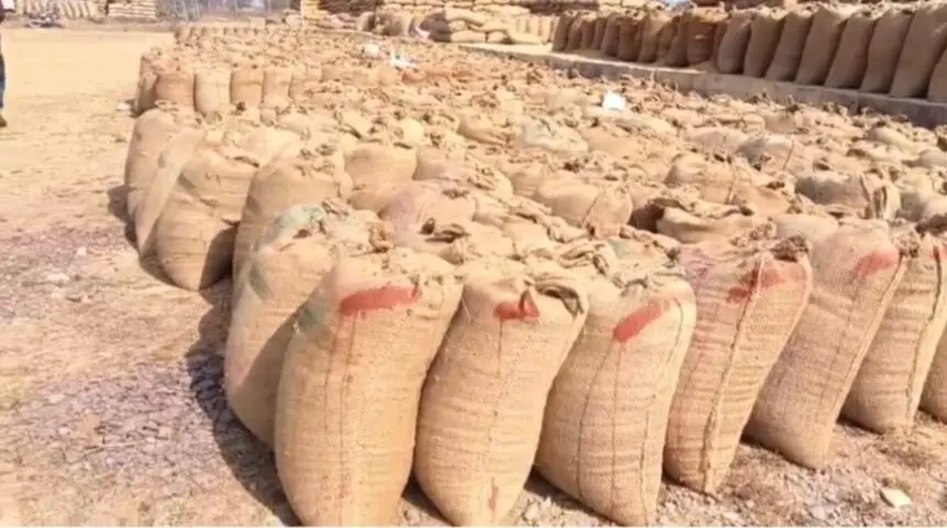 CG NEWS : धान कृषि केंद्र में मंडी प्रभारी की लापरवाही, सीधे जमीन पर रखा गया हजारों क्विंटल धान