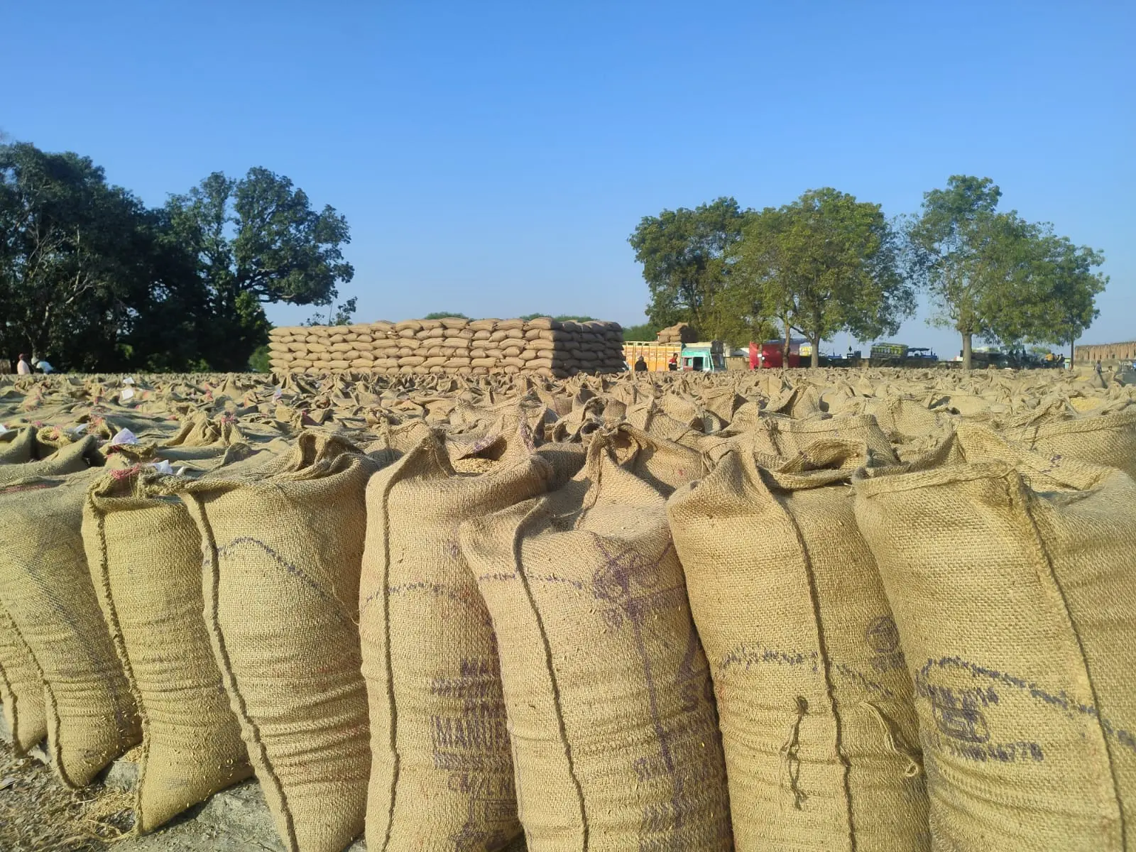 लखनपुर समिति में फर्जी धान पंजीयन मामला ठंडे बस्ते में,