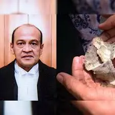 Justice Yashwant Verma resigns : हाईकोर्ट के जस्टिस यशवंत वर्मा का इस्तीफा, जानिए क्यों उठाया ये बड़ा कदम?