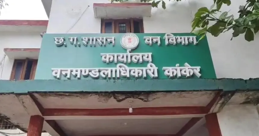 CG BREAKING: जंगलवार कॉलेज परिसर में दिखा भालुओं का झुंड