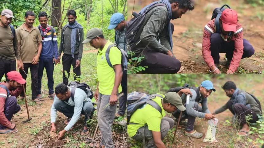 CG NEWS: हाथियों के कदमों से हरियाली की वापसी, उदंती में ‘एलीफेंट रेस्टोरेंट’ की शुरुआत