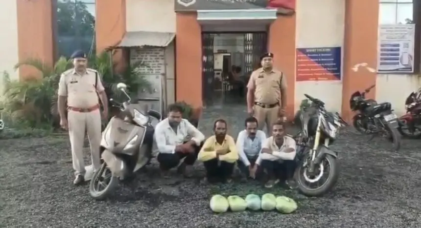 CG CRIME NEWS: 6 अंतरराज्यीय गांजा तस्कर गिरफ्तार, 13.370 किलोग्राम गांजा, तीन दोपहिया वाहन और मोबाइल फोन जब्त