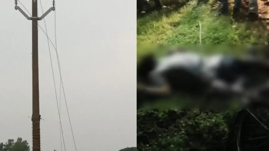 CG NEWS: दर्दनाक हादसा: बिजली विभाग की लापरवाही ने ली युवक की जान, सड़क पर गिरे करंट प्रवाहित LT तार की चपेट में आने से मौत