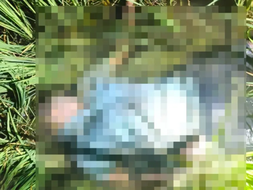 CG NEWS: मधुमक्खियों के हमले से बचने भागा युवक, खेत में पानी में डूबा मिला किसान का शव