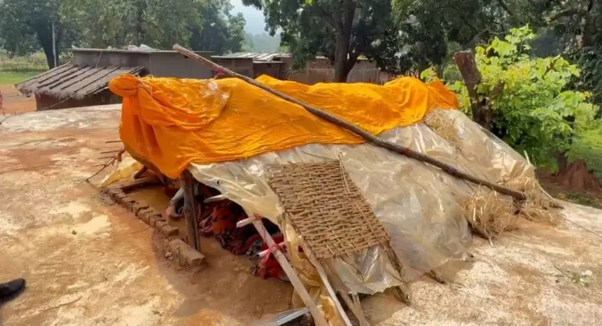 CG NEWS : हाथियों का ऐसा खौफ कि रात में घर छोड़ छतों पर रात गुजार रहे ग्रामीण, 40 से ज्यादा हाथियों की दस्तक से दहशत
