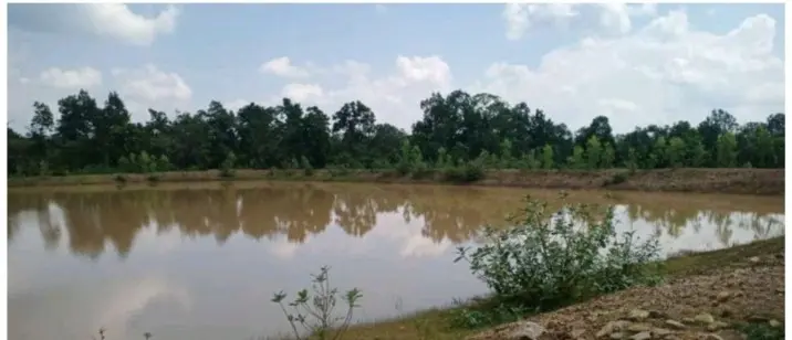 बस्तर के वनकोमार में ‘अमृत सरोवर’ ने बदली तस्वीर