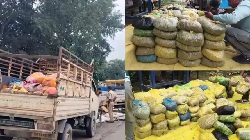 CG NEWS : छत्तीसगढ़ में यहां पकड़ाया दो पिकअप भरकर गांजा, 8 क्विंटल माल जब्त, 7 हिरासत में