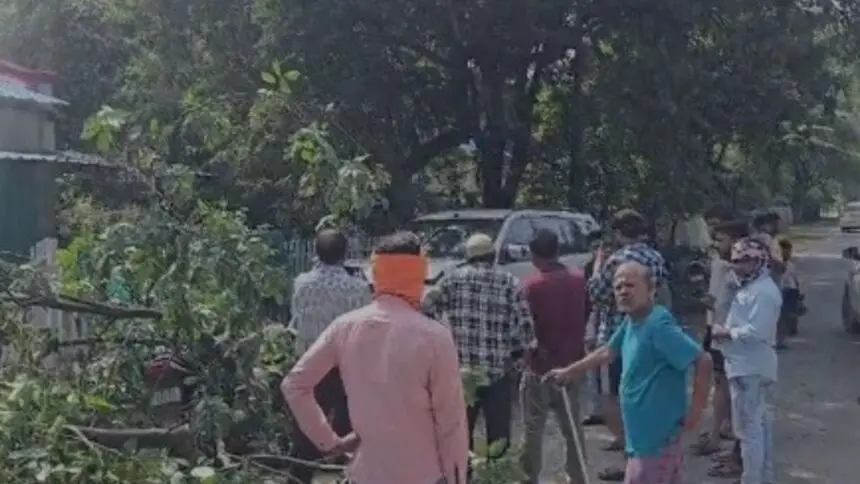 CG ACCIDENT: वाहन चलाते समय चालक को आया चक्कर, अनियंत्रित होकर पेड़ से टकराई तेज रफ्तार कार, मची अफरा-तफरी