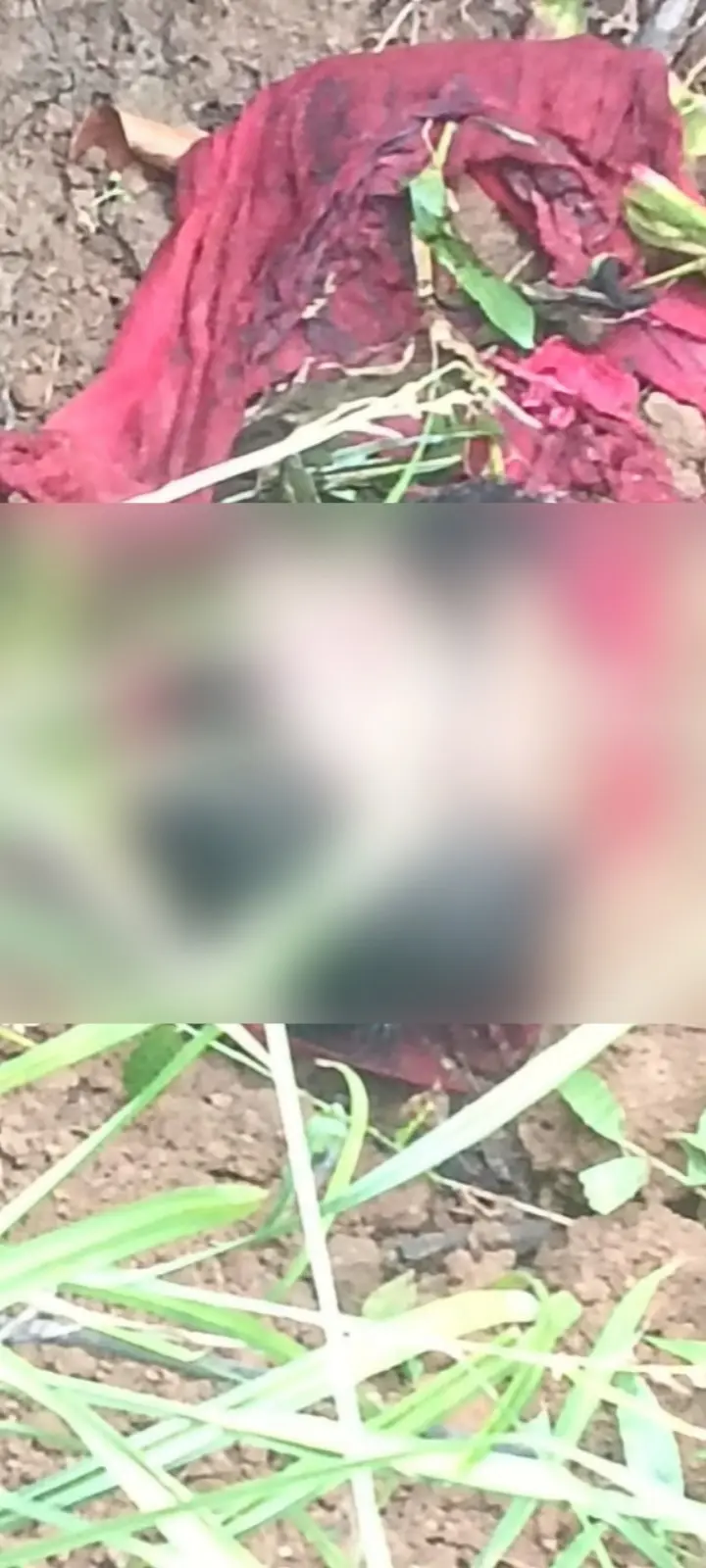 CG Breaking: दो दिन से लापता शख्स का खेत में मिला कटा हुआ सिर, इलाके में मचा हड़कंप