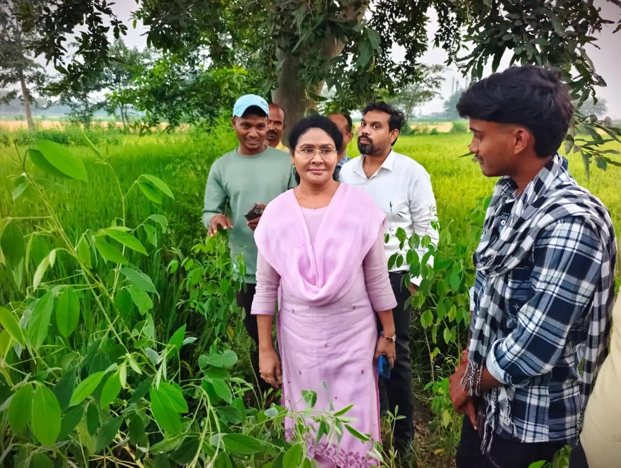 खेतों के बीच पहुंचीं कलेक्टर दिव्या उमेश मिश्रा, पीवी ऐप के माध्यम से किए जा रहे सर्वे कार्य का किया अवलोकन