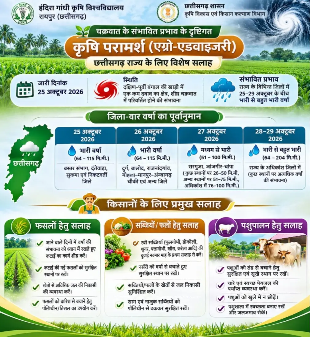 चक्रवात के प्रभाव से छत्तीसगढ़ में बढ़ेगी वर्षा की गतिविधियां, किसानों के लिए मौसम आधारित सलाह जारी….