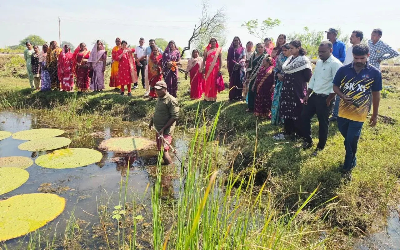 तालाबों में खिली आत्मनिर्भरता की उम्मीद : मखाना की खेती से बदल रही ग्रामीण महिलाओं की जिंदगी